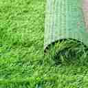 نصب چمن مصنوعی و اجرای سوله سبک در قائم شهر مازندران